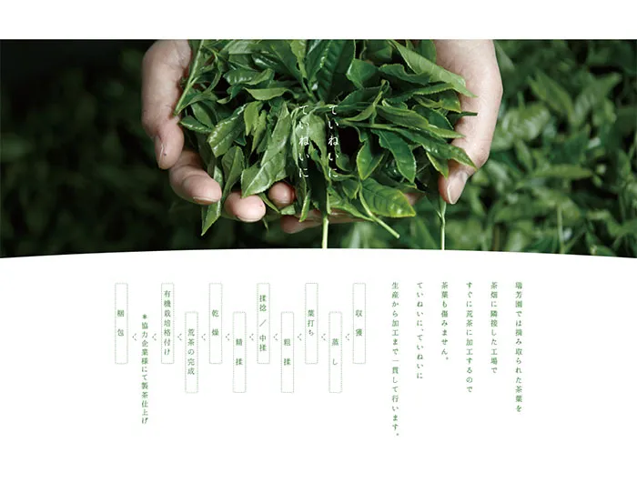 No.081 瑞芳園　ノアールの雷カギしっぽ | Webサイト100線