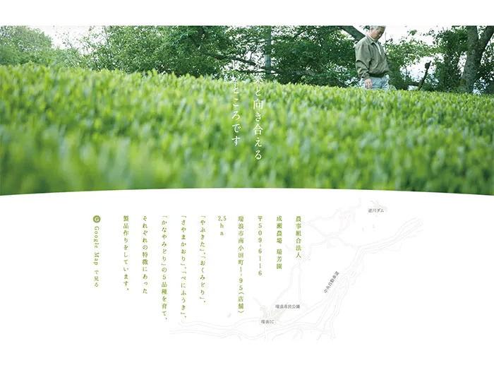 No.081 瑞芳園　ノアールの雷カギしっぽ | Webサイト100線