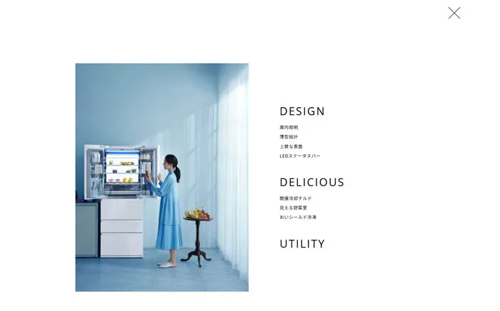 No.098 AQUA-TXシリーズ ノアールの雷カギしっぽ | Webサイト100線