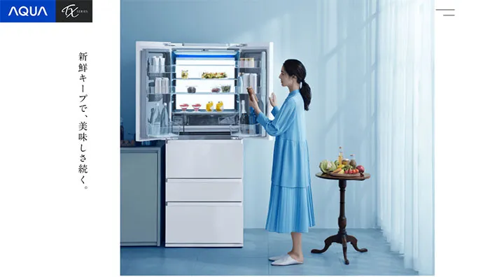 No.098 AQUA-TXシリーズ ノアールの雷カギしっぽ | Webサイト100線