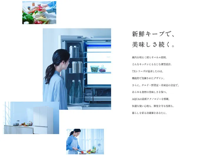 No.098 AQUA-TXシリーズ ノアールの雷カギしっぽ | Webサイト100線