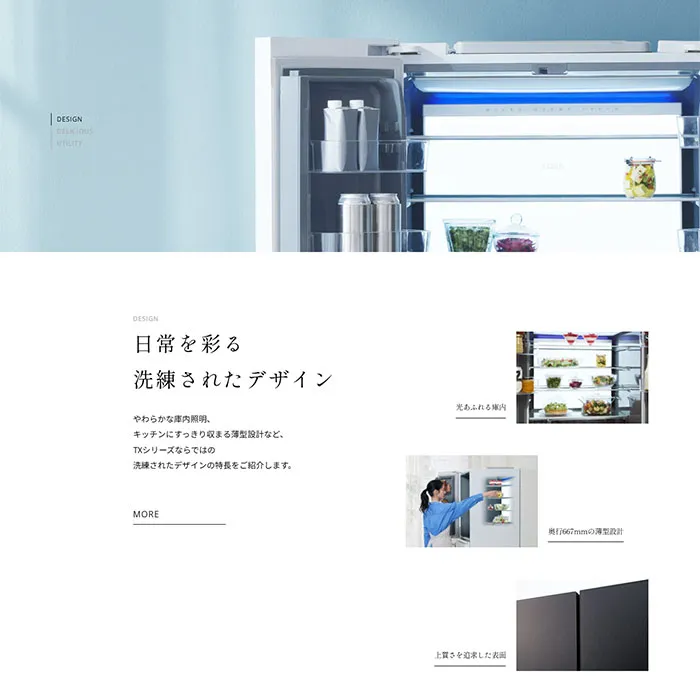 No.098 AQUA-TXシリーズ ノアールの雷カギしっぽ | Webサイト100線