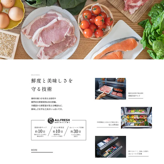 No.098 AQUA-TXシリーズ ノアールの雷カギしっぽ | Webサイト100線