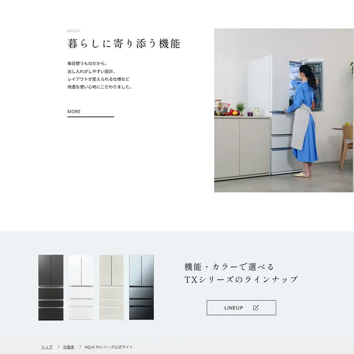 No.098 AQUA-TXシリーズ ノアールの雷カギしっぽ | Webサイト100線