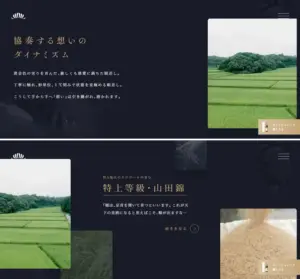 No.100 嘉宝 -菊正宗-　ノアールの雷カギしっぽ | Webサイト100線