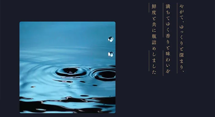 No.100 嘉宝 -菊正宗-　ノアールの雷カギしっぽ | Webサイト100線