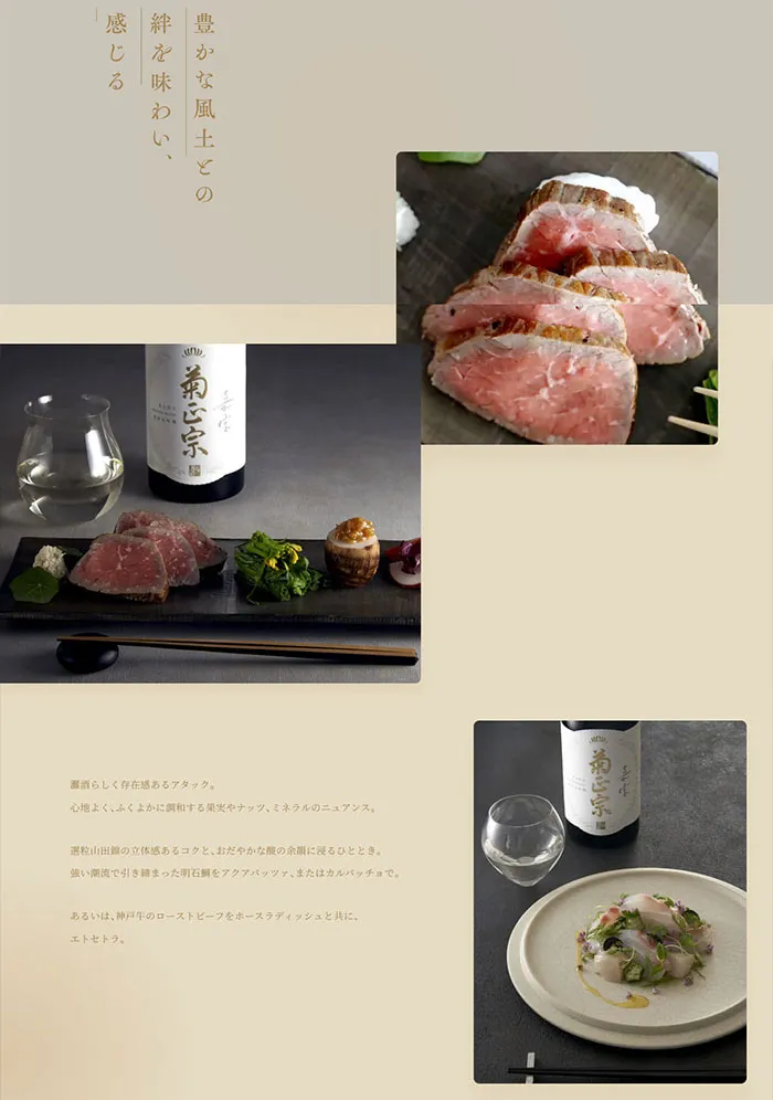 No.100 嘉宝 -菊正宗-　ノアールの雷カギしっぽ | Webサイト100線