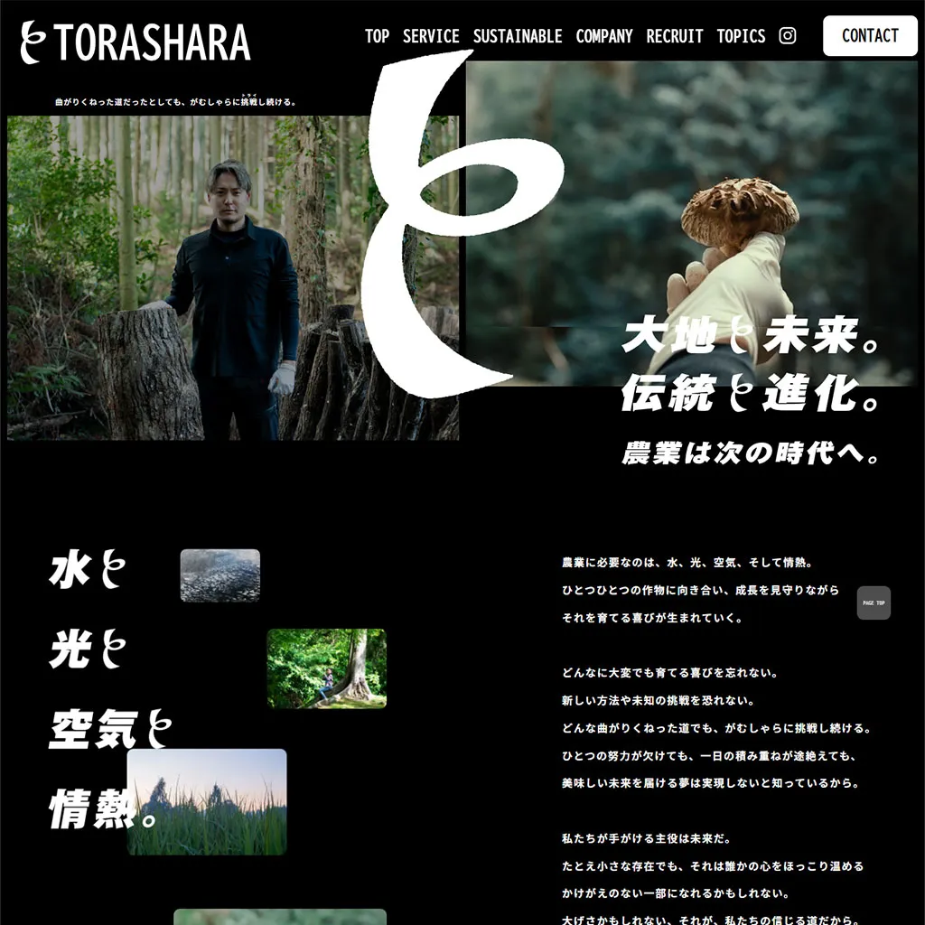 No.030 トラしゃら（TORASHARA）